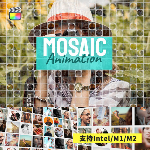 FCPX插件Mosaic Animation马赛克方格多画面图像动画展示预设10个