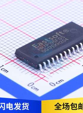HR7P195FGS 单片机微控制器芯片IC 贴片 SOP28