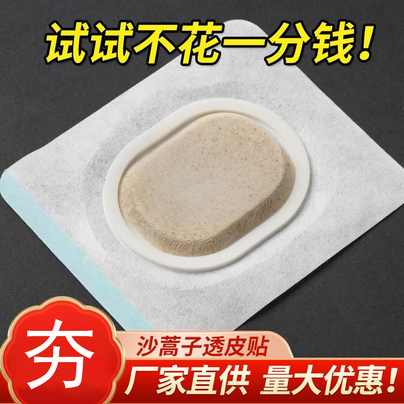 沙蒿子透皮贴中药贴透气胶贴亚宝