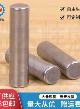 原装进口TOHATSU光身固定销钉 SUJ2直径1.5 2 2.5两端R角处理MSSB