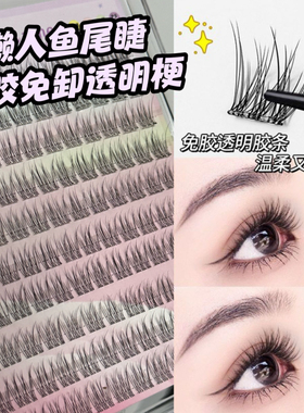 120朵新手无梗免胶假睫毛