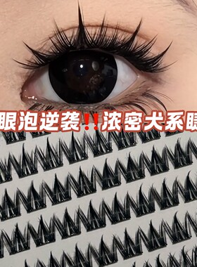 莫菲似梦免胶大容量犬系狗狗眼黑梗假睫毛自然浓密漫画眼氛围感