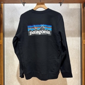 39657Q7 不退换PATAGONIA韩代秋 5I30 Logo Uprisal 男卫衣P