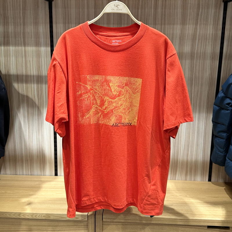 不退换ARCTERYX始祖鸟韩代25冬男T恤SS ATPFM09926 5K14