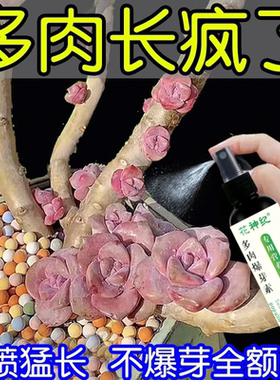 多肉爆芽素营养液直喷优芽素生根爆芽王催芽素通用催芽爆头发芽素