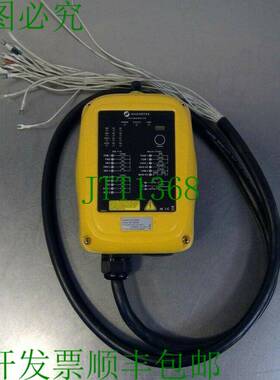 原装供应Magneek - 型号:FLEX 4EX2 头顶起重机控制系统 5A