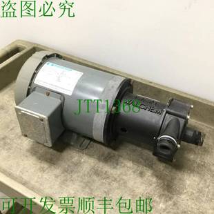 原装供应岩崎大规模杀伤性武器-100RTE 磁力驱动泵,1 英寸 NPT,带