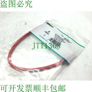 原装供应Panduit UTP6A1RD Patch Cords 1' CAT 6A 10GB 红色