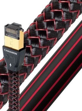 audioquest/线圣 肉桂RJE AQ 发烧音频网线7类LAN线 正品行货包邮