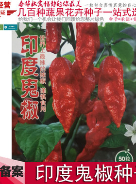 蔬菜印度云南涮涮断魂超辣朝天椒