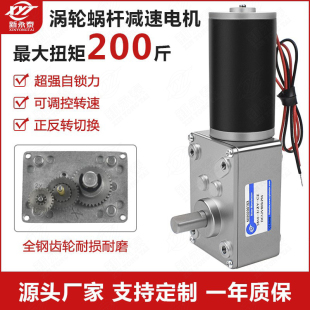 31ZY蝸輪蝸桿微小型馬達12v24v調速直流減速電機 大扭力直角5840