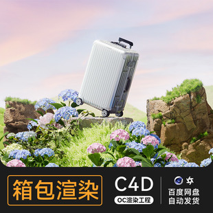 C4D素材旅行箱包行李建模OC渲染场景电商工程模型三维材质源文件