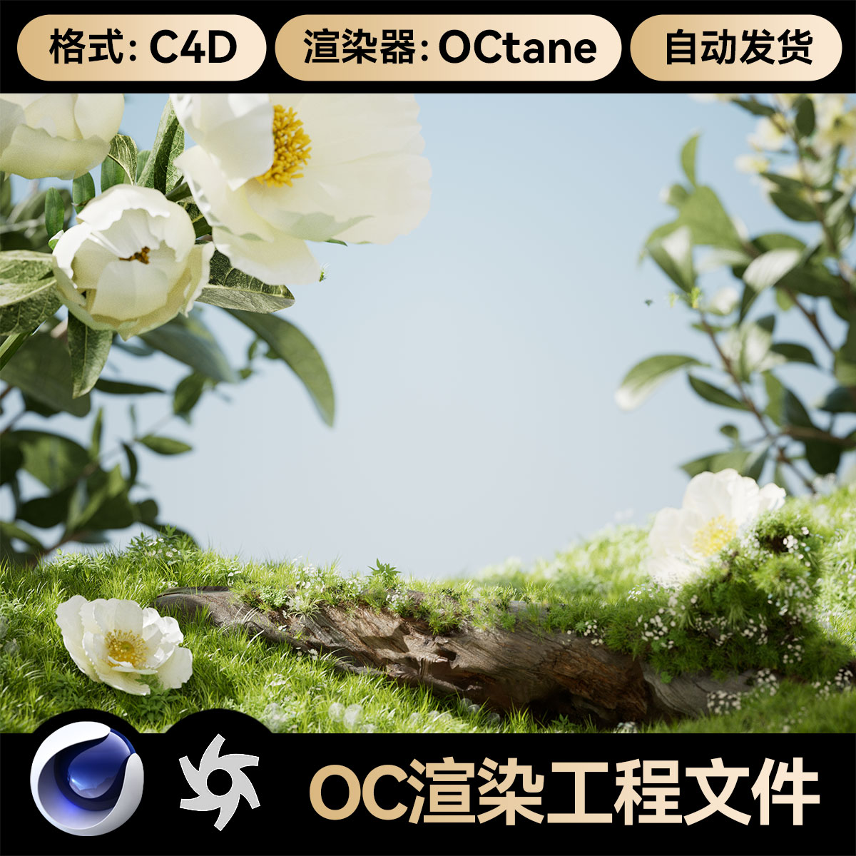 C4D素材自然鲜花草地场景OC渲染工程山茶花模型文件带灯光材质