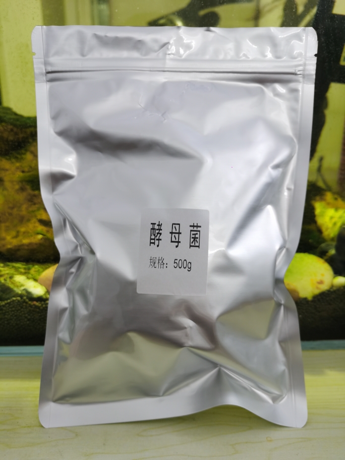 酵母菌菌种水产养殖用扩培菌种微生物发酵剂