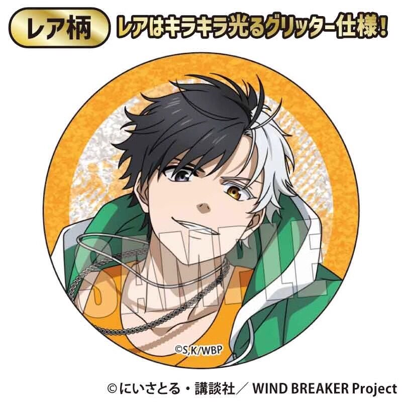 Wind Breaker Skateboard Badge Official Metal Pin - Product image 5