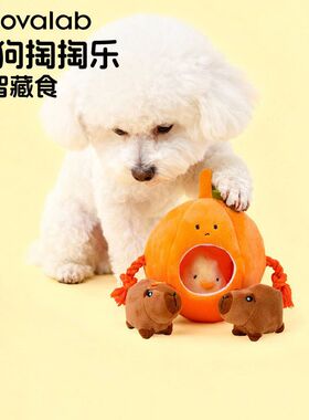MoovaLab么哇狗狗玩具掏掏乐益智丰容宠物嗅闻响纸发声藏食小狗磨