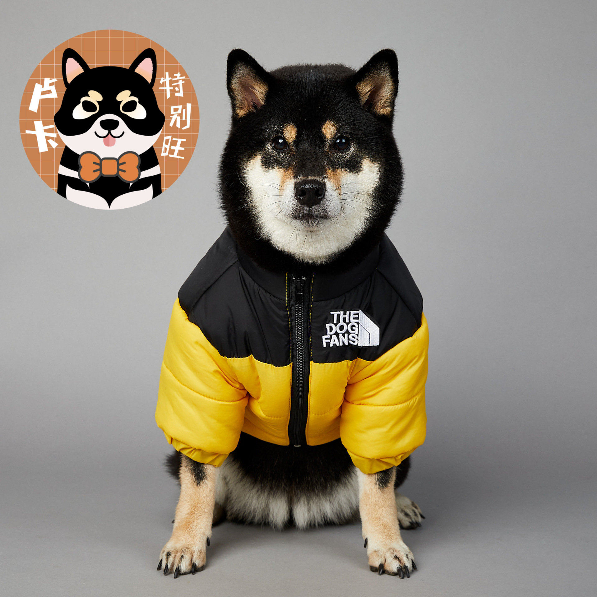 新款潮牌秋冬棉服防风防雨冲锋衣