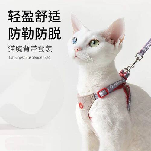 新款夏季PETSTAR猫牵引绳背心式猫咪胸背外出防挣脱现货宠物用品