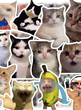 300张猫meme贴纸可爱搞笑鬼畜猫咪ins风表情包梗图素材手账本贴画