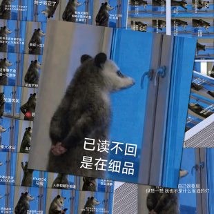 108张负鼠表情包贴纸搞笑沙雕趣味精神状态抽象热梗图diy手帐贴画