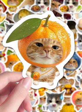 152张美食猫猫食物贴纸可爱写实小猫咪装饰手机壳桌面创意diy贴画