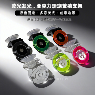 荧光发光珊瑚繁殖支架亚克力珊瑚基座sps硬骨软骨纽扣断肢支架