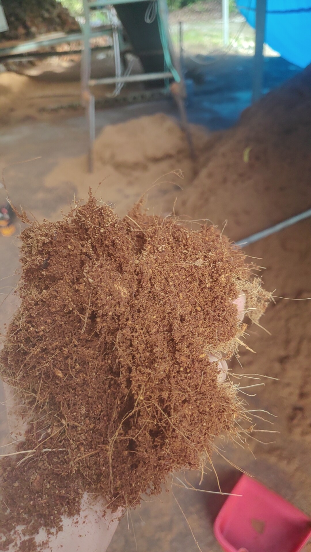 海南免泡散装纯椰糠基质泥炭土椰糠土营养土无菌养花种菜绿植通用