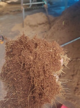 海南散装基质种菜绿植椰糠土