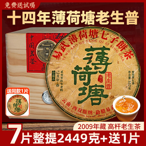 7片整提2499克+1片薄荷塘老生茶