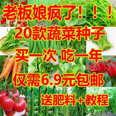 蔬菜种子孑大全四季种植盆栽阳台农家庭院香葱辣椒生菜香菜种子籽