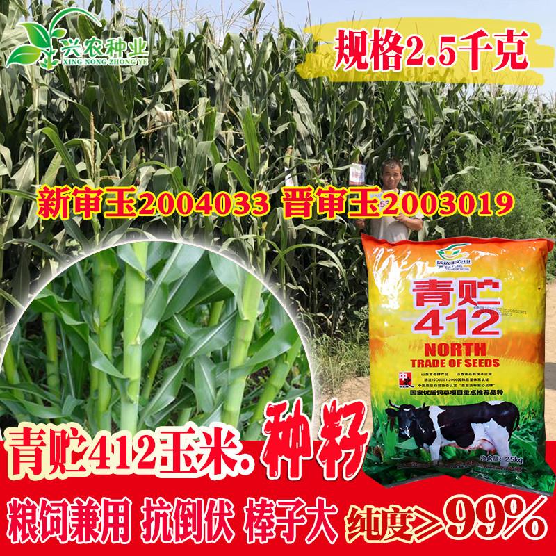 沃达丰青贮412玉米种子 大田抗倒伏饲用玉米籽转化率高棒子籽