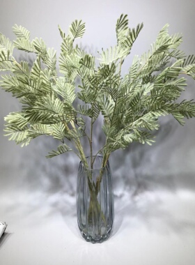 可爱家长支仿真绿色植物含羞草假花花艺装饰搭配材料绿植插花