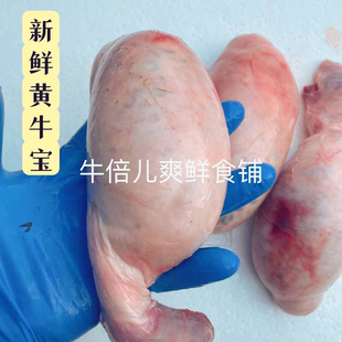 新鲜黄牛蛋生牛宝烧烤牛睾丸国产本地屠宰场黄牛宝牛蛋1斤价格