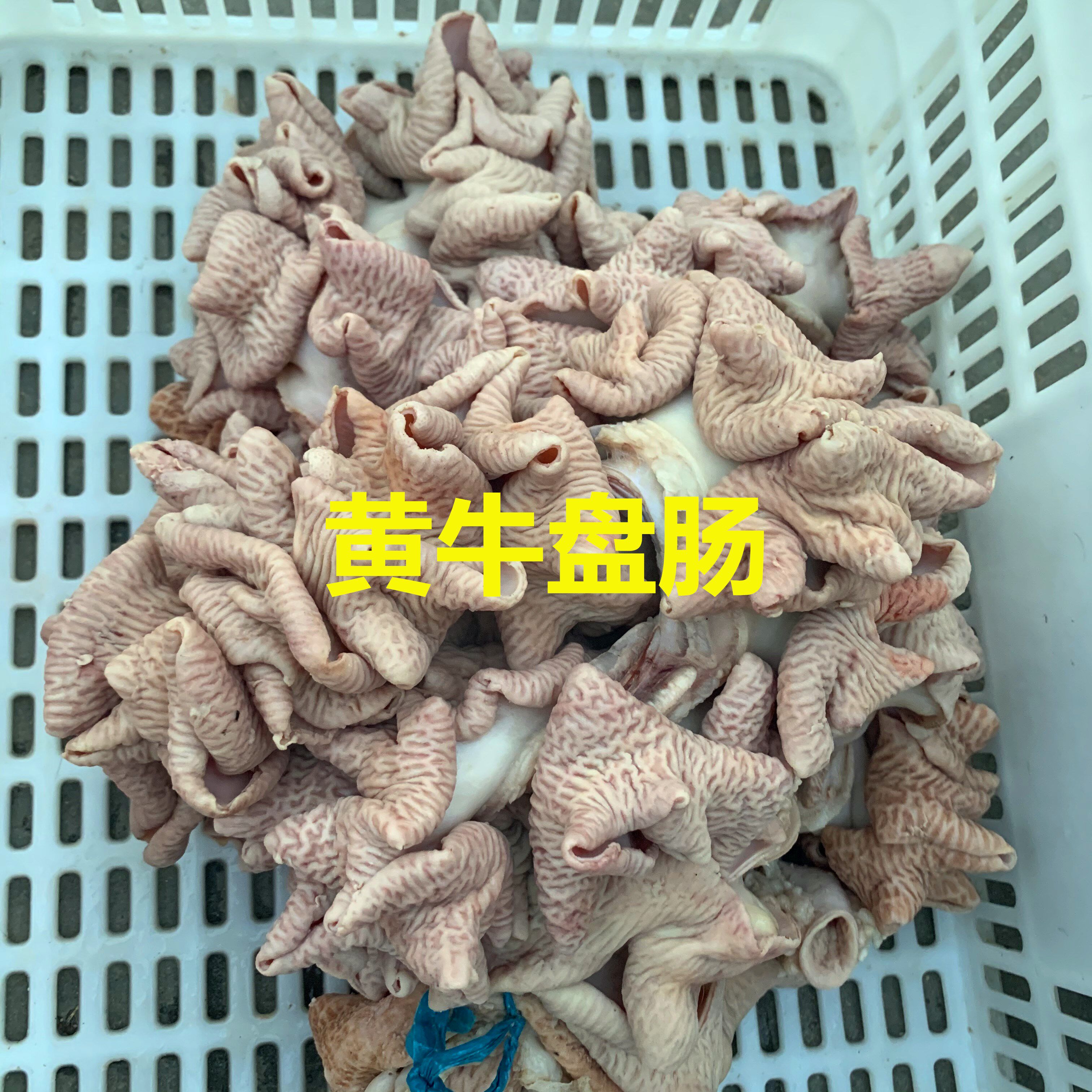 牛盘肠 1斤 新鲜半熟黄牛盘肠牛杂 牛肠牛花肠 牛肥肠 牛杂 包邮