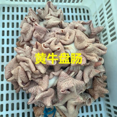 无添加牛肠国产牛下水牛杂包邮