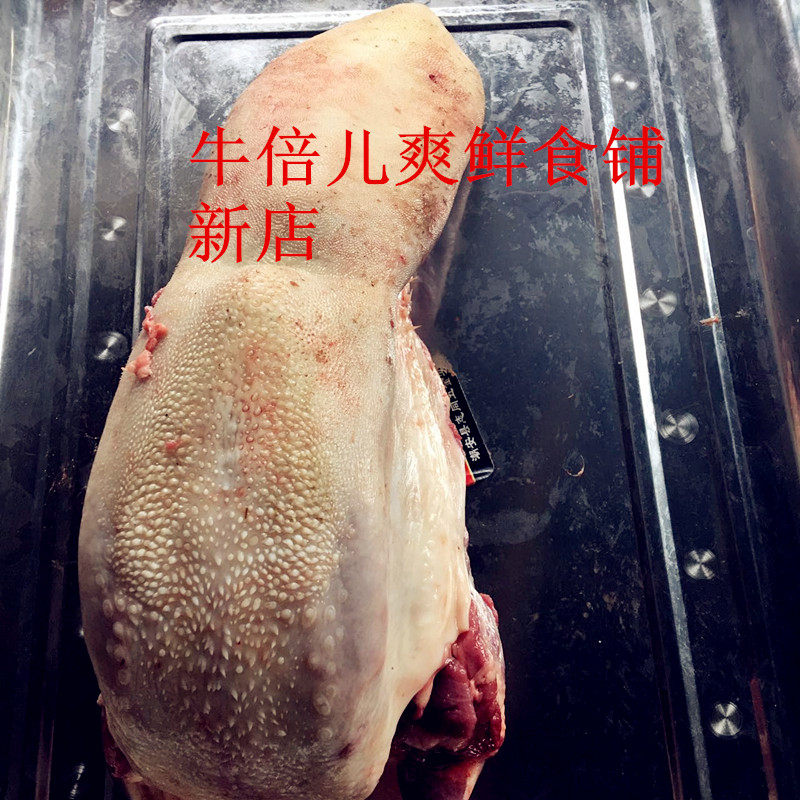 黄牛牛舌头 牛口条 新鲜发货 包邮(500g) 生牛舌头