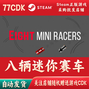 MINI EIGHT RACERS Steam游戏CDKey批发激活码 八辆迷你赛车正版