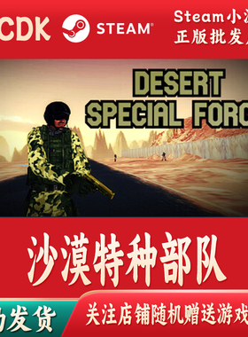 沙漠特种部队正版Steam游戏CDKey激活码自动发货Desert Special