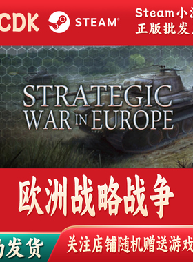 欧洲战略战争正版Steam游戏CDKey激活码自动发货