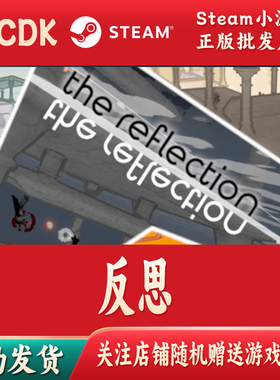 反思正版Steam游戏CDKey激活码自动发货The Reflection