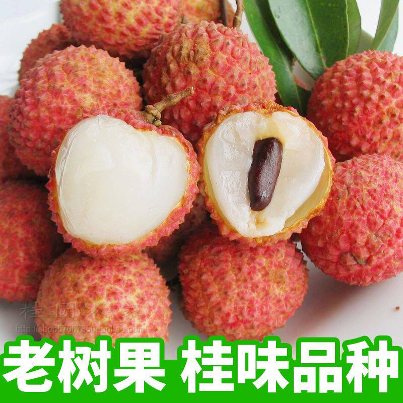 大唐荔乡茂名高州新鲜荔枝老树桂味品种清香甜脆现摘现寄精装空运