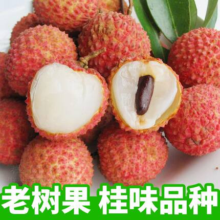 大唐荔乡茂名高州新鲜荔枝老树桂味品种清香甜脆现摘现寄精装空运