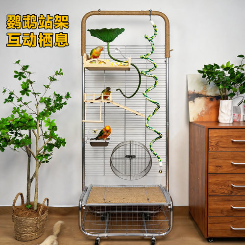 加粗不锈钢开放式鹦鹉站架大型架