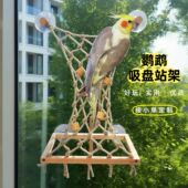 鹦鹉多用途玻璃吸盘站杆藤蔓秋千鸟玩具麻绳攀牡丹玄凤花椒木站架