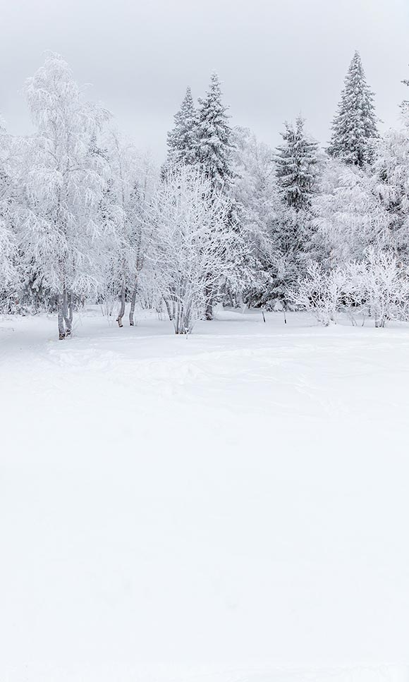 定做雪景无缝布摄影直销油画背景