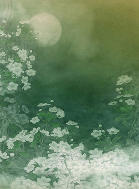 影楼背景布摄影写真布加厚帆布无缝数码布绿色画意PZ-969月色倾城