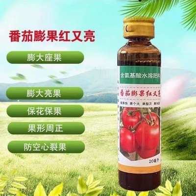 番茄膨大红又亮 番茄专用膨大素 膨果亮果速度上色不空果不裂果