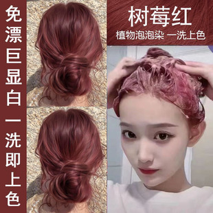 免漂树莓红色染头发剂纯膏女泡泡染发剂在家自己染泡沫染发膏