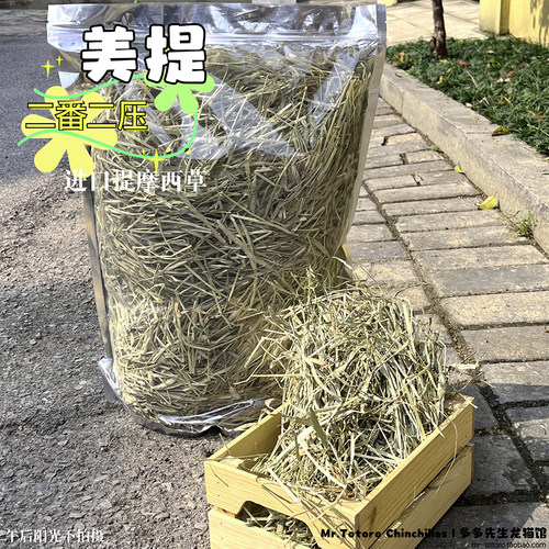 进口美提二番提摩西龙猫兔子磨牙