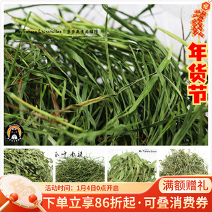 牧草试吃 会员有折扣龙猫磨牙草苜蓿苏西草段澳麦小麦草胡萝卜缨